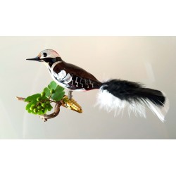 Buntspecht mundgeblasen
