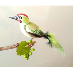 Green woodpecker mouth-blown
