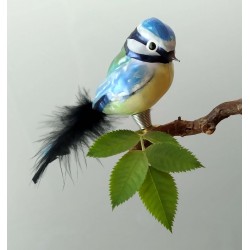 mouth-blown blue tit