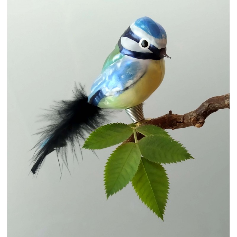 mouth-blown blue tit mouth-blown blue tit