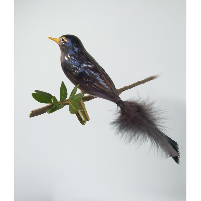 Mouth-blown blackbird Mouth-blown blackbird