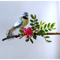 Blue Tit mouth-blown