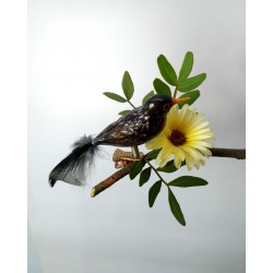 Amsel mini mundgeblasen