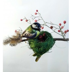 Great Tit Nest