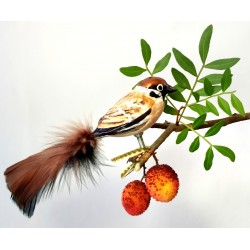 Spatz