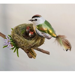 Goldhähnchen Nest