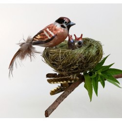 Sparrow-family