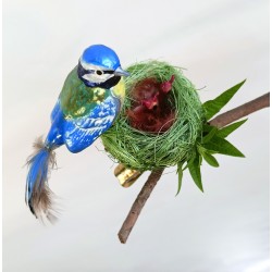 Blaumeisen Nest