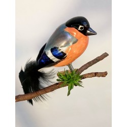 copy of Bullfinch (female)