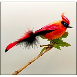 Phönix Feuervogel