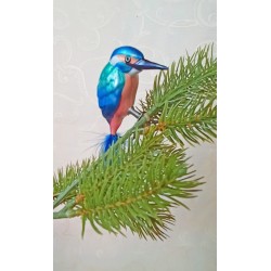 Kingfisher