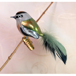 Kinglet