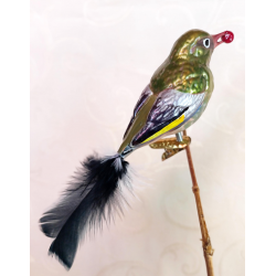 Greenfinch