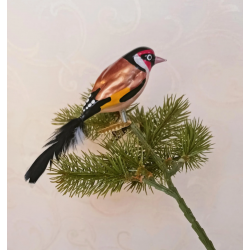 European Goldfinch